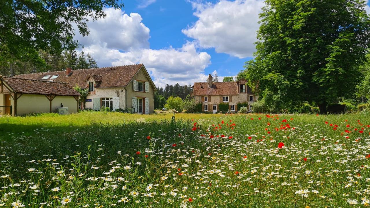 Chambres D'Hotes Le Moulin De Crouy Exterior foto